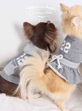 ChestnutBabe Sports Club美高卫衣裙原创狗狗情侣装可爱宠物衣服