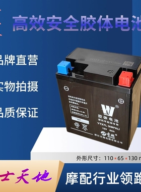 适用豪爵DF DL TR150 NK150 DR150 GZS150 DR160蓄电池电瓶充电器