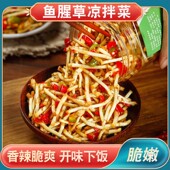凉拌鱼腥草新鲜折耳根嫩湖北云贵川爽脆节节根下饭菜即食瓶装 300g