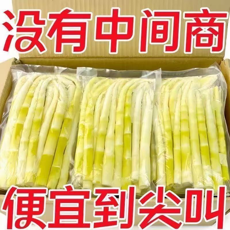 正宗小竹笋手撕竹笋新鲜笋尖新笋手撕笋袋装火锅便宜一整箱10g