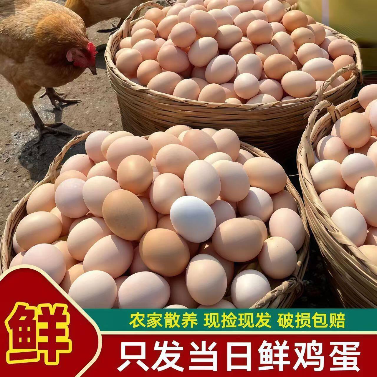 20枚谷物蛋新鲜鸡蛋五谷喂养农家鲜小鸡蛋整箱现捡破损包赔新鲜