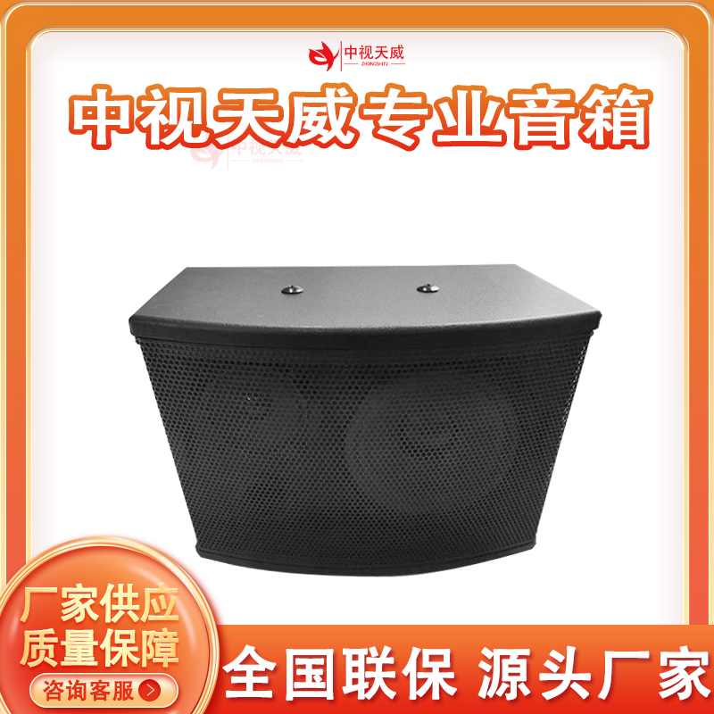 中视天威专业音箱8寸TV-Y08