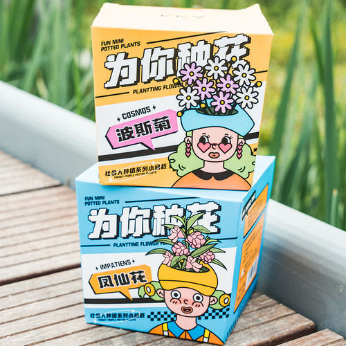 KKV为你种花系列创意花卉种子种植杯手工DIY观察桌面绿植小盆栽