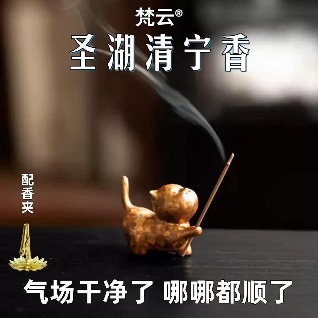 旅行出差家居净宅能量天然藏香室内清秽去晦气磁场线香开运招财香