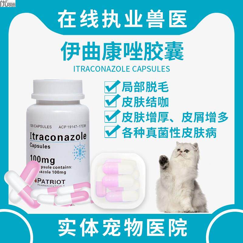 宠物脱毛皮屑脓皮症猫癣猫咪狗藓皮肤病抗真菌感染伊曲康唑口服药