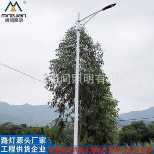 工厂直销各种规格LED路灯城市道路工程5米30瓦道路灯