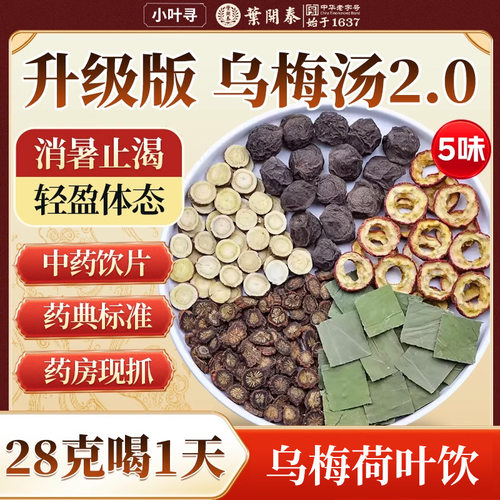 乌梅汤2.0消食降脂解暑中药