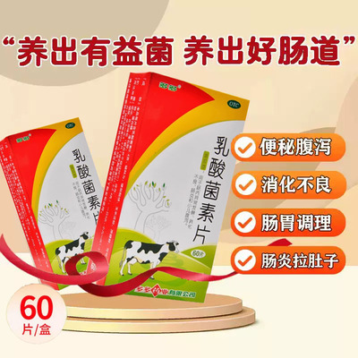 【多多】乳酸菌素片0.4g*60片/盒肠炎润肠通便消化不良小儿腹泻便秘