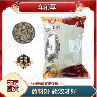 国强中药车前草 500g中药饮片国家标准中药材正品药房直发