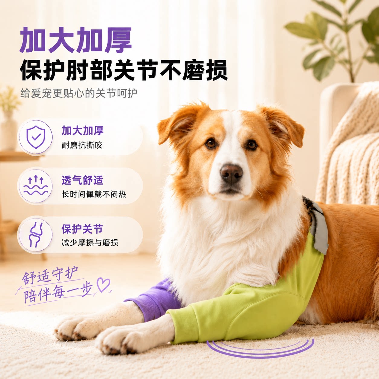 边牧中大型犬狗狗前腿护肘衣狗狗护肘关节保护套防磨护腿宠物护膝