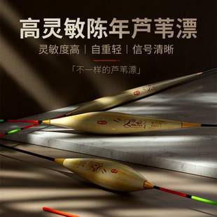 入海流陈年芦苇立式 浮漂芦苇鱼漂暗红临底轻口临底高灵敏轻口渔漂