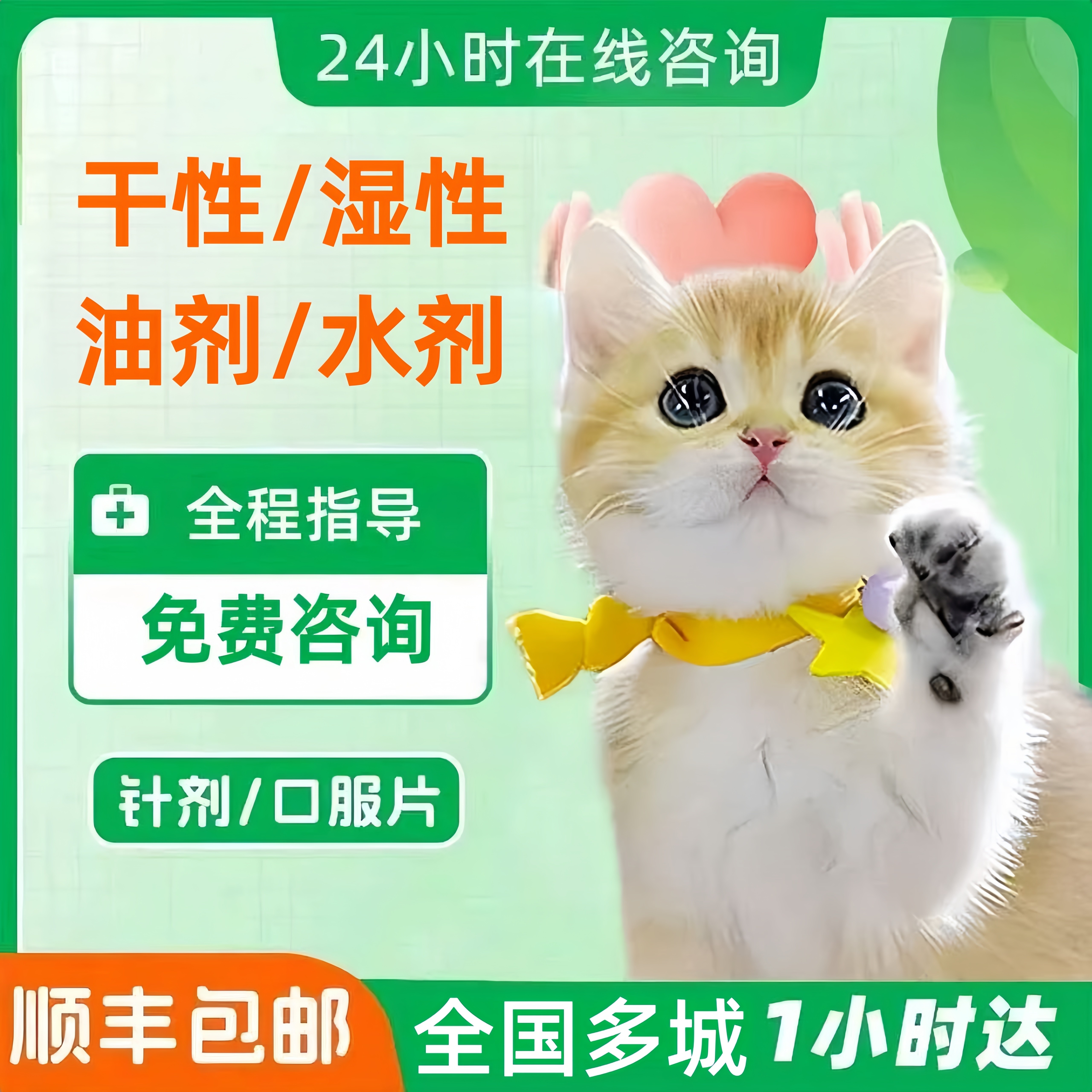 【顺丰特快】猫咪干性湿性针片剂