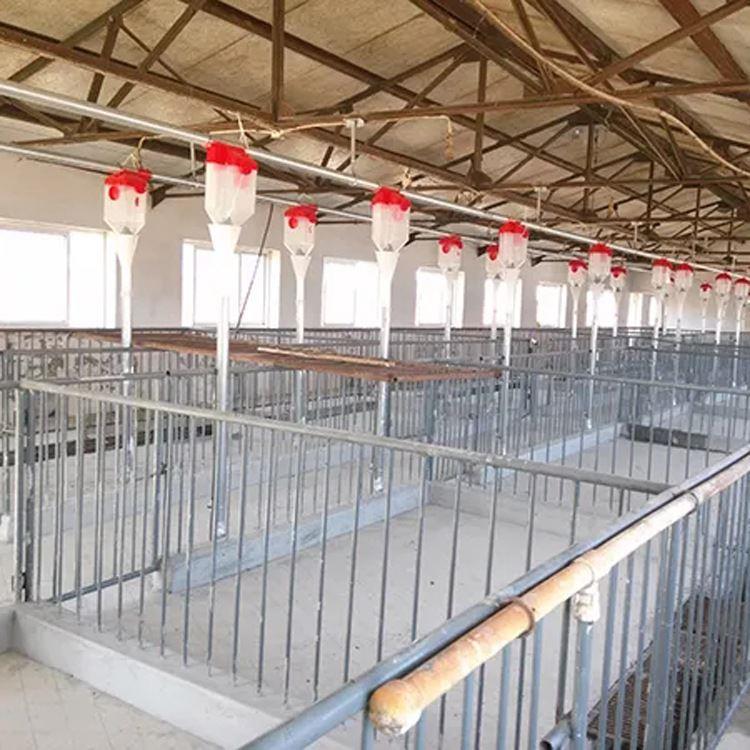 畜牧养殖围栏 猪舍育肥大栏 畜牧猪用 全套养猪设备