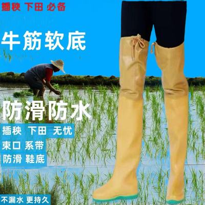 春秋插秧鞋软胶防水牛筋底