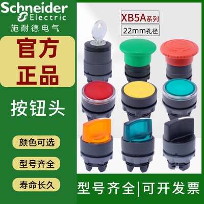 开关按钮头施耐德急停蘑菇头ZB5A