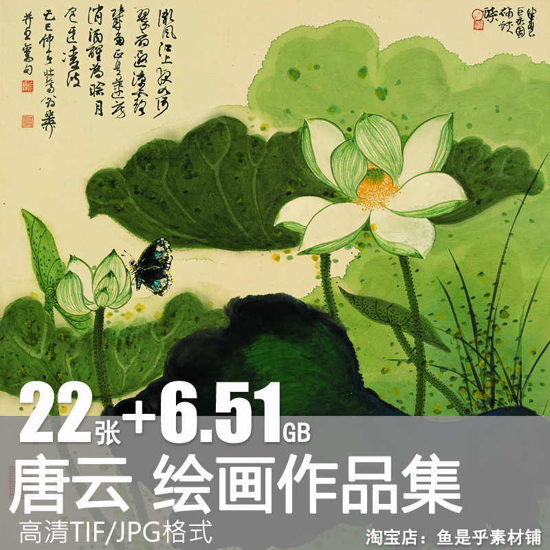 唐云绘画合集高清电子国画水墨写意山水花鸟风景山水墨画图片素材