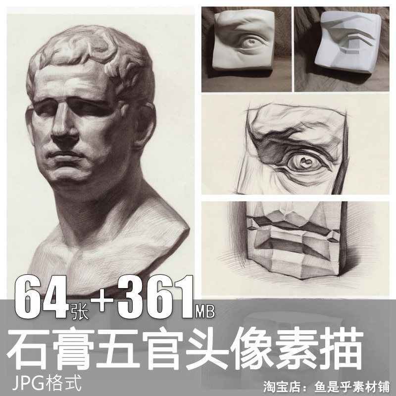 石膏头像素描高考艺考单独五官高清图片参考范画素材美术练习临摹