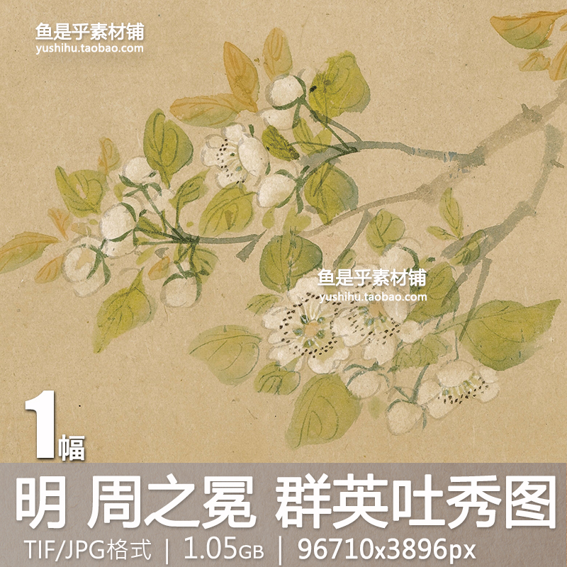 明 周之冕 群英吐秀图卷古代国画水墨百花鸟临摹参考电子图片素材