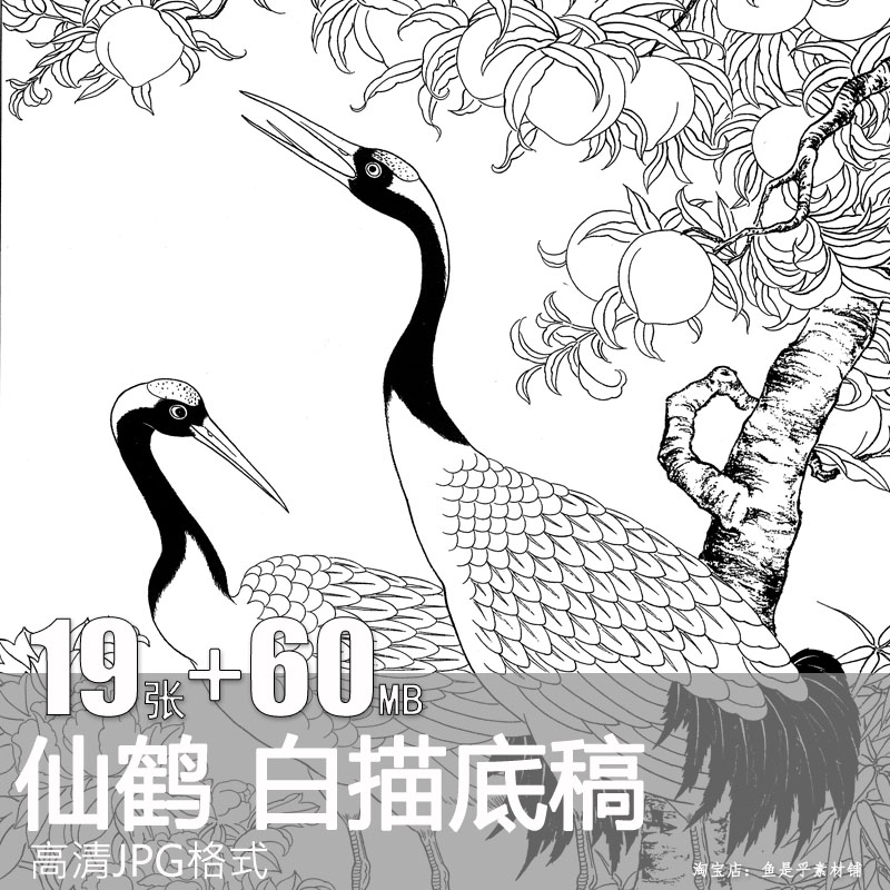 仙鹤丹顶鹤版画稿中国风线稿线描白描图片参考设计电子版素材
