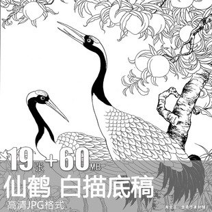 仙鹤丹顶鹤版画稿中国风线稿线描白描图片参考设计电子版素材