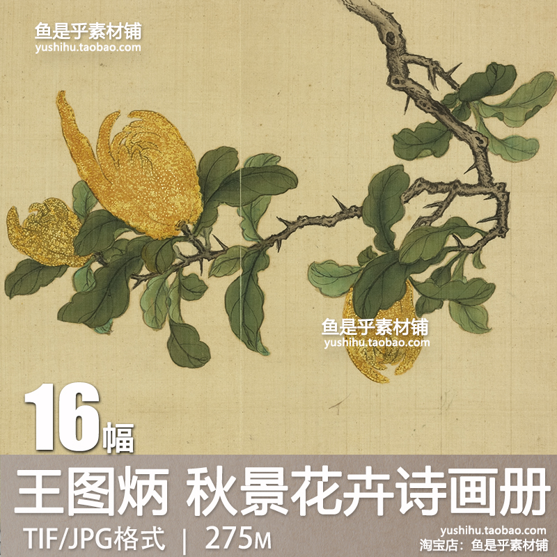 清王图炳秋景花卉诗画册古代国画书法艺术参考临摹电子版图片素材