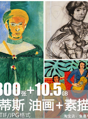 马蒂斯油画绘画野兽派人体风景静物素材临摹画册速写素描电子版