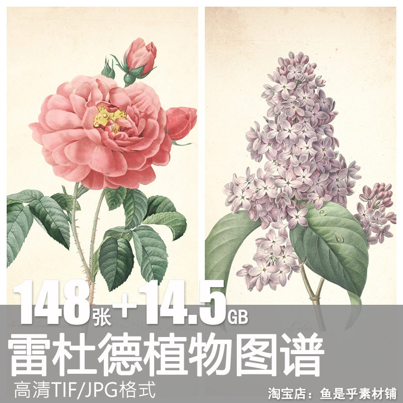 雷杜德植物图谱图片高清电子版花卉草木水彩玫瑰百合素材临摹资料,商务/设计服务,设计素材/源文件,淘宝优惠券,粉丝福利购,淘宝优惠卷