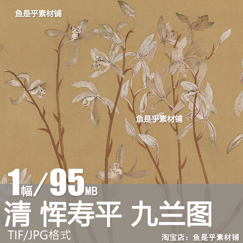 九兰图卷恽寿平清代花卉国画兰花绘画临摹高清大图电子版素材图片