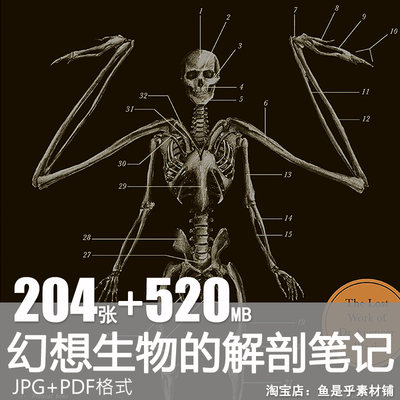 神话生物解剖图幻想生物的解剖笔记素描透视骨骼肌肉手绘图片素材