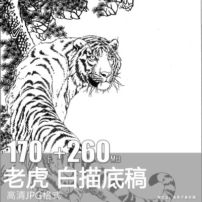 老虎工笔画白描底稿线稿国画动物临摹稿勾线国画高清素材电子版