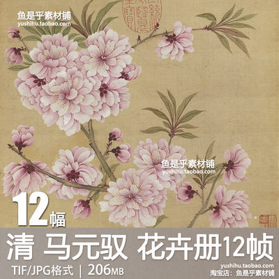 清马元驭花卉册页工笔没骨花卉紫藤菊兰牡丹海棠画芯电子图片素材
