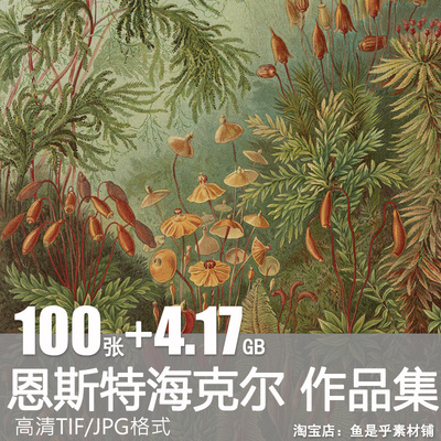 恩斯特海克尔油画合集Ernst Haeckel素描放射虫生物电子图片素材