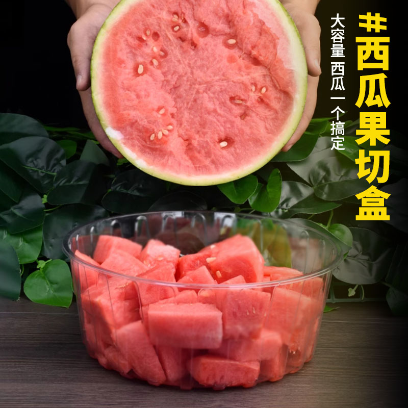 一次性果蔬托盘超大型号图片