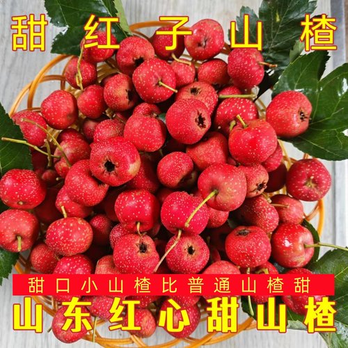 甜红子山楂甜口小山楂