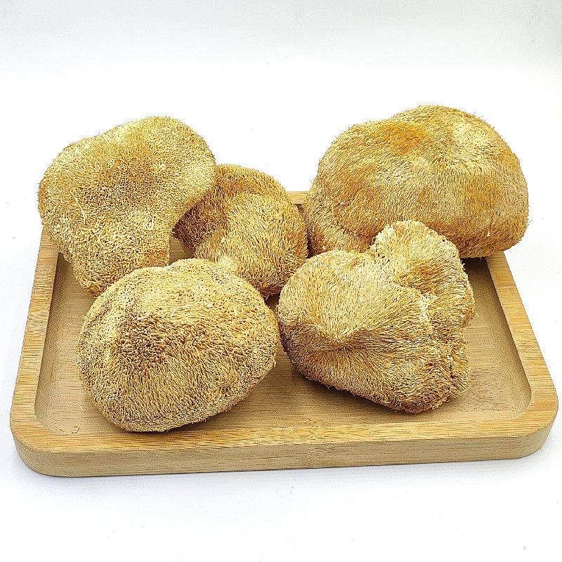 猴头菇然干货新鲜东北猴菇5长白山头猴VUZ菌天干猴头20g包邮