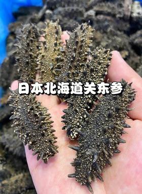 野生六海排刺纯RDI淡干东参原干货日本北关道非俄罗斯红参大连海