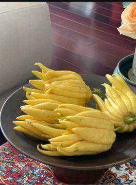 【现摘现发 】XXU宗金佛手新鲜佛手正果 佛手柑 摆华放 食用清新