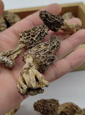 野生羊肚菌干 干货新装东北蘑菇白山煲汤菌菇特产5鲜0克ULQ长产地
