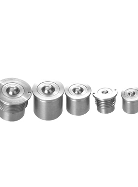 BCHP14 18 22 BCHPT16 20 24 不锈钢带柱塞功能钢珠滚轮