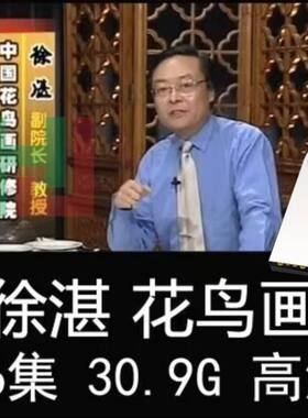 零基础国画视频教程徐湛写意花鸟画视频U盘教学初学者入门优盘
