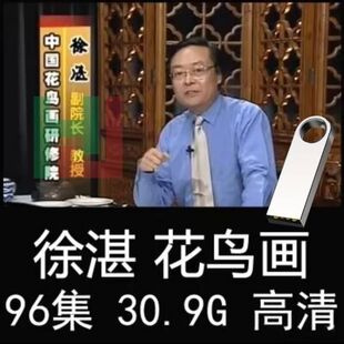 零基础国画视频教程徐湛写意花鸟画视频U盘教学初学者入门优盘