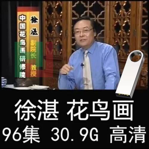 零基础国画视频教程徐湛写意花鸟画视频U盘教学初学者入门优盘
