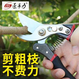 大号修剪果树剪刀强力果枝剪SK5高碳钢粗枝剪农用树枝剪园林艺剪