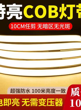 超薄免驱LED灯带220v防水超亮线 线形灯槽家用客厅吊顶COB户外软