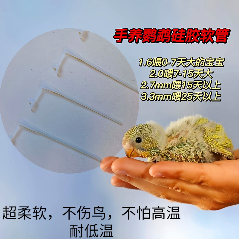 虎皮牡丹玄凤鸽子鹦鹉喂奶软管针筒针管超柔软硅胶管喂奶塑钢针管