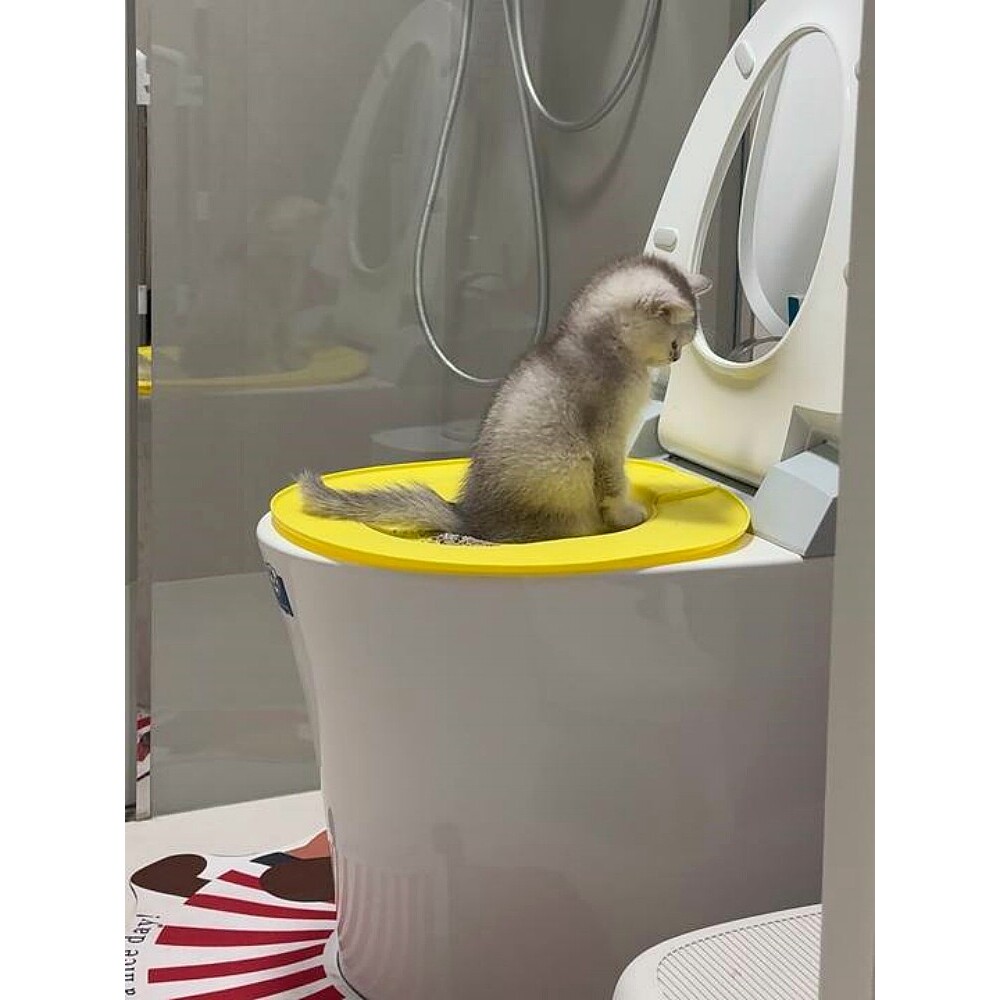 【猫咪马桶训练器】小猫训练厕所器卫生间可重复利用宠物工具