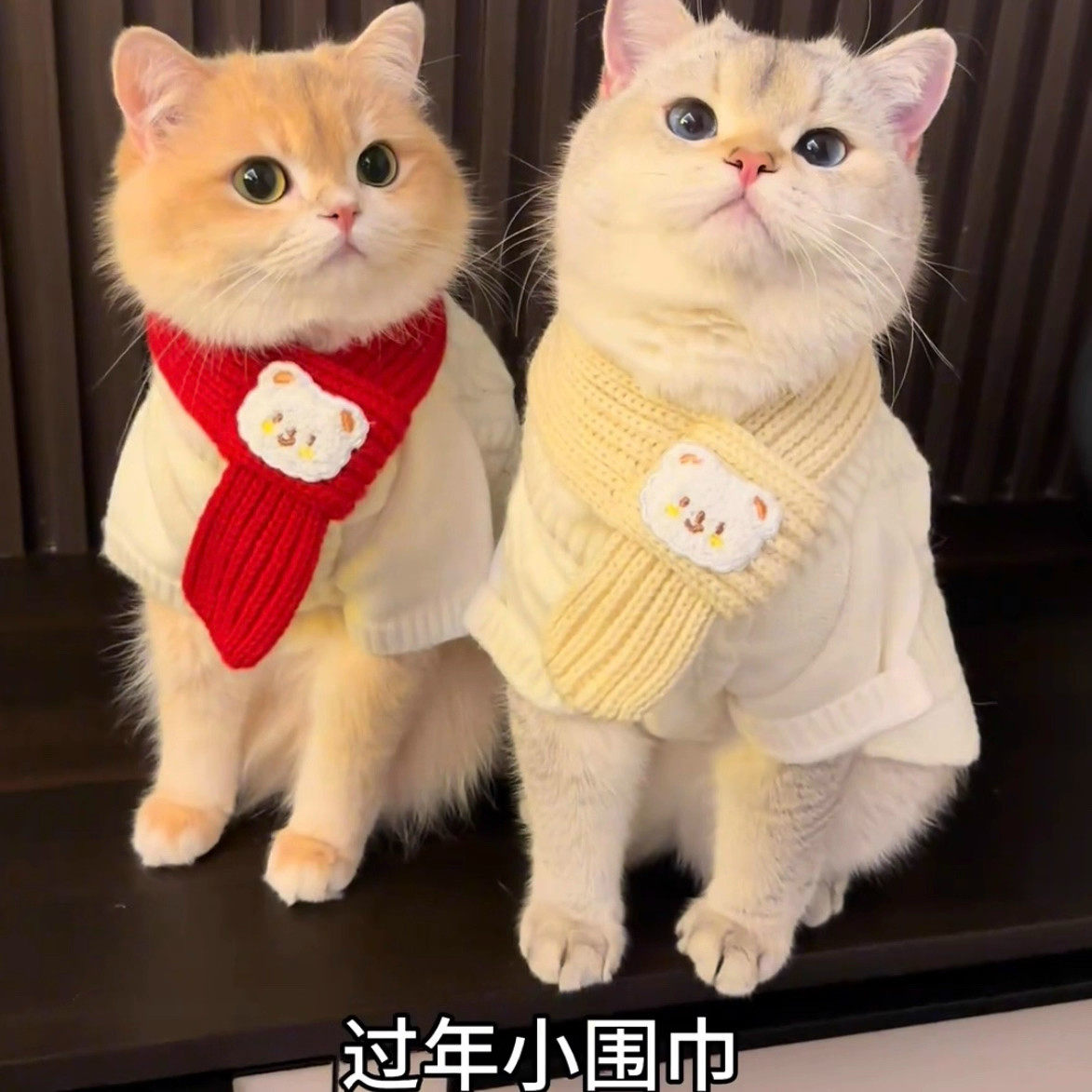 可爱猫咪围巾宠物小狗毛线围脖口水巾喜庆圣诞冬季保暖小猫配饰品