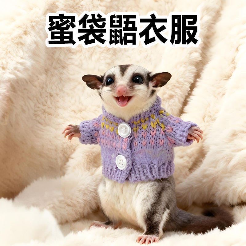 蜜袋鼯衣服专用小号马甲加厚冬天保暖服装毛衣装扮服饰宠物用品
