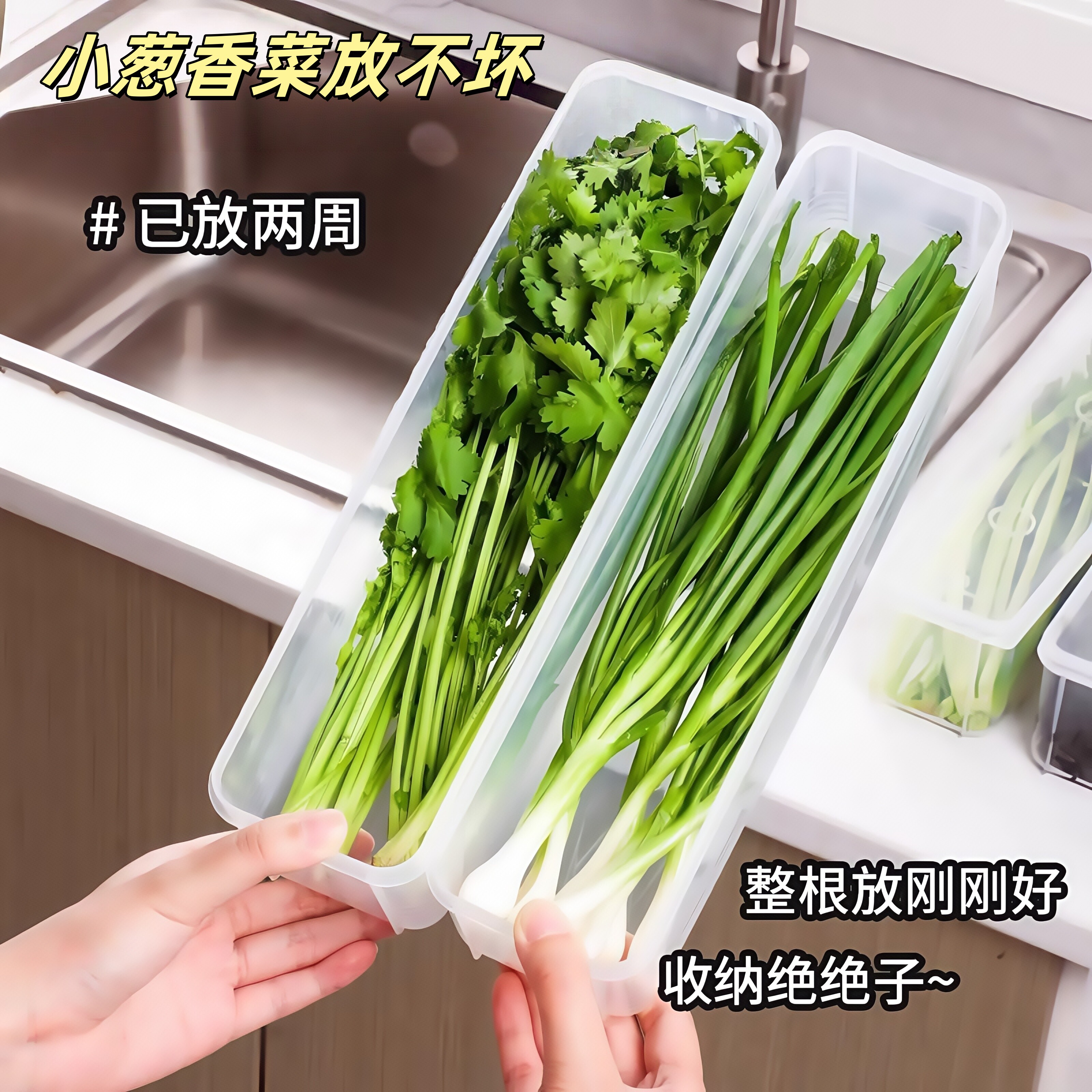 保鲜盒食品级大小葱香菜芫荽