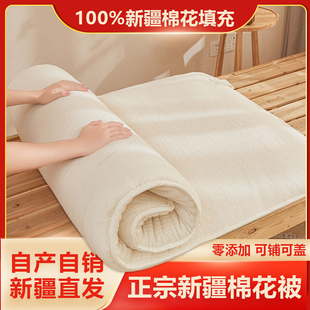 儿童棉花被芯幼儿园学生宿舍垫被盖被棉絮新疆棉花秋冬加厚被褥子
